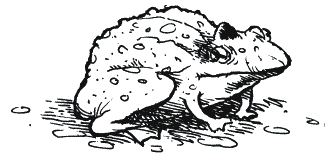 Иллюстрация к книге — Энциклопедия относительного и абсолютного знания [_022.png]