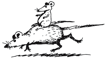 Иллюстрация к книге — Энциклопедия относительного и абсолютного знания [_039.png]