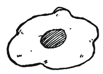 Иллюстрация к книге — Энциклопедия относительного и абсолютного знания [_042.png]