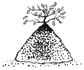 Иллюстрация к книге — Энциклопедия относительного и абсолютного знания [_072.png]