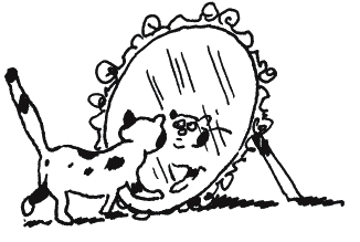 Иллюстрация к книге — Энциклопедия относительного и абсолютного знания [_131.png]