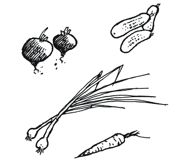 Иллюстрация к книге — Энциклопедия относительного и абсолютного знания [_140.png]