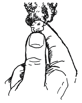 Иллюстрация к книге — Энциклопедия относительного и абсолютного знания [_147.png]