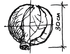 Иллюстрация к книге — Энциклопедия относительного и абсолютного знания [_252.png]