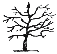 Иллюстрация к книге — Энциклопедия относительного и абсолютного знания [_293.png]