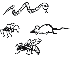 Иллюстрация к книге — Энциклопедия относительного и абсолютного знания [_305.png]