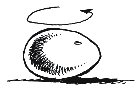 Иллюстрация к книге — Энциклопедия относительного и абсолютного знания [_312.png]