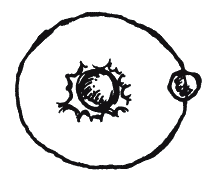 Иллюстрация к книге — Энциклопедия относительного и абсолютного знания [_379.png]