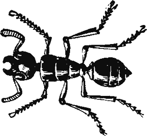 Иллюстрация к книге — Новая энциклопедия Относительного и Абсолютного знания [i_041.png]