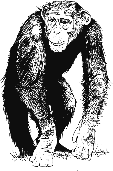 Иллюстрация к книге — Новая энциклопедия Относительного и Абсолютного знания [i_049.png]