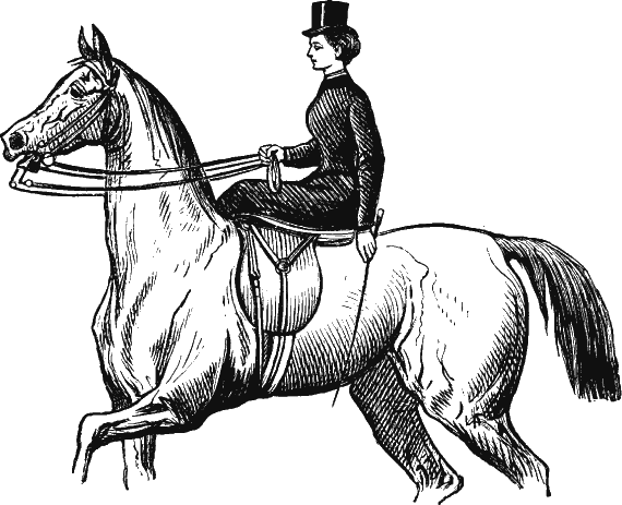 Иллюстрация к книге — Новая энциклопедия Относительного и Абсолютного знания [i_055.png]