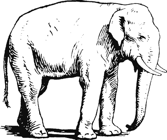 Иллюстрация к книге — Новая энциклопедия Относительного и Абсолютного знания [i_073.png]