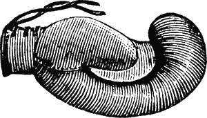 Иллюстрация к книге — Новая энциклопедия Относительного и Абсолютного знания [i_076.png]