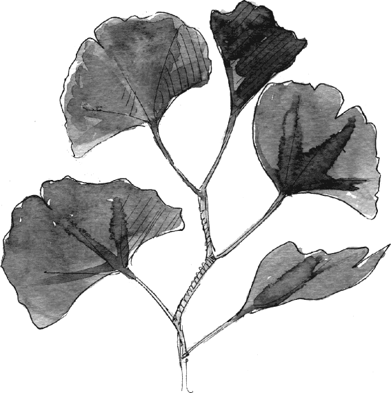 Иллюстрация к книге — Новая энциклопедия Относительного и Абсолютного знания [i_077.png]