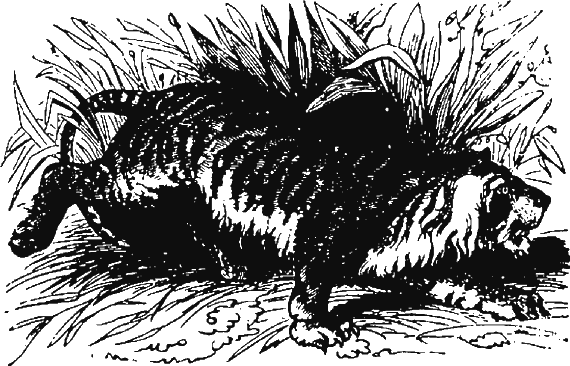 Иллюстрация к книге — Новая энциклопедия Относительного и Абсолютного знания [i_082.png]