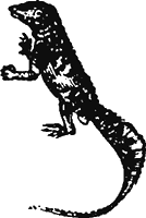 Иллюстрация к книге — Новая энциклопедия Относительного и Абсолютного знания [i_084.png]