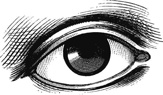 Иллюстрация к книге — Новая энциклопедия Относительного и Абсолютного знания [i_102.png]