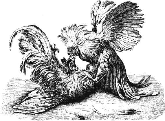 Иллюстрация к книге — Новая энциклопедия Относительного и Абсолютного знания [i_106.png]