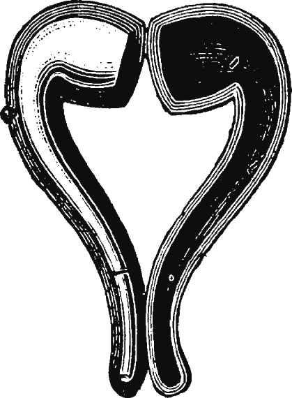 Иллюстрация к книге — Новая энциклопедия Относительного и Абсолютного знания [i_122.png]