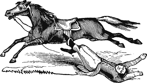 Иллюстрация к книге — Новая энциклопедия Относительного и Абсолютного знания [i_129.png]