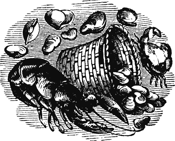 Иллюстрация к книге — Новая энциклопедия Относительного и Абсолютного знания [i_150.png]