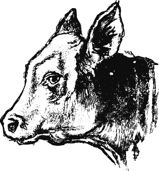 Иллюстрация к книге — Новая энциклопедия Относительного и Абсолютного знания [i_154.png]