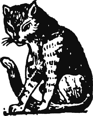 Иллюстрация к книге — Новая энциклопедия Относительного и Абсолютного знания [i_164.png]