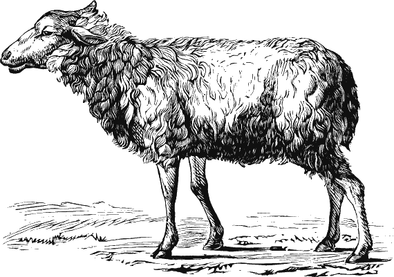 Иллюстрация к книге — Новая энциклопедия Относительного и Абсолютного знания [i_172.png]