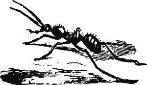 Иллюстрация к книге — Новая энциклопедия Относительного и Абсолютного знания [i_174.png]