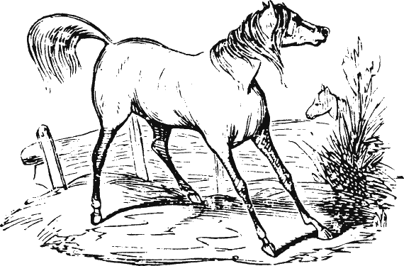 Иллюстрация к книге — Новая энциклопедия Относительного и Абсолютного знания [i_207.png]