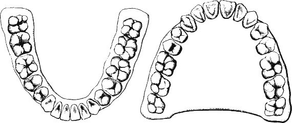 Иллюстрация к книге — Новая энциклопедия Относительного и Абсолютного знания [i_209.png]