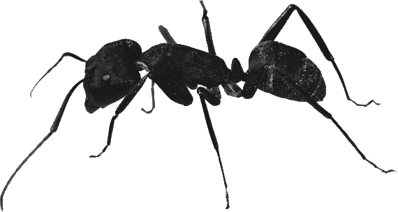 Иллюстрация к книге — Новая энциклопедия Относительного и Абсолютного знания [i_222.png]