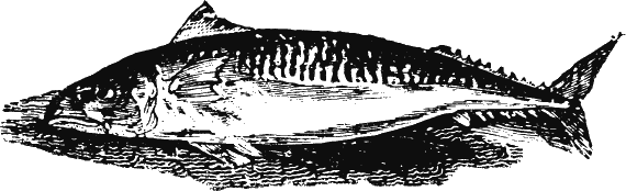 Иллюстрация к книге — Новая энциклопедия Относительного и Абсолютного знания [i_251.png]