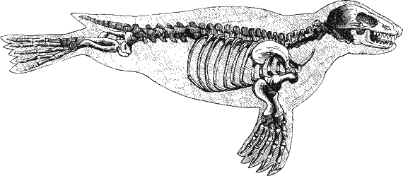 Иллюстрация к книге — Новая энциклопедия Относительного и Абсолютного знания [i_258.png]