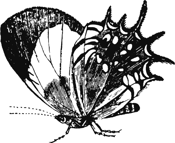 Иллюстрация к книге — Новая энциклопедия Относительного и Абсолютного знания [i_260.png]