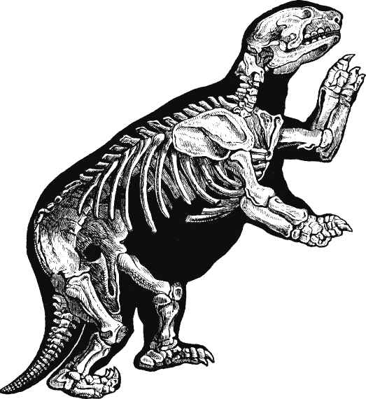 Иллюстрация к книге — Новая энциклопедия Относительного и Абсолютного знания [i_284.png]