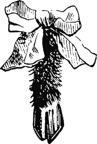 Иллюстрация к книге — Новая энциклопедия Относительного и Абсолютного знания [i_300.png]