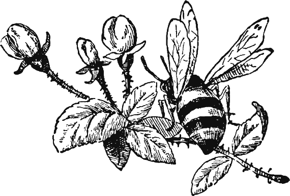 Иллюстрация к книге — Новая энциклопедия Относительного и Абсолютного знания [i_322.png]