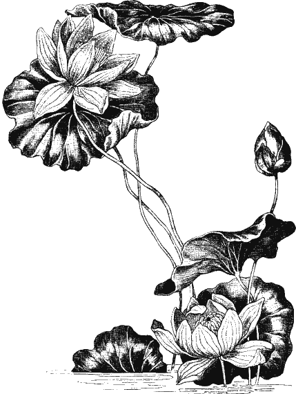 Иллюстрация к книге — Новая энциклопедия Относительного и Абсолютного знания [i_349.png]