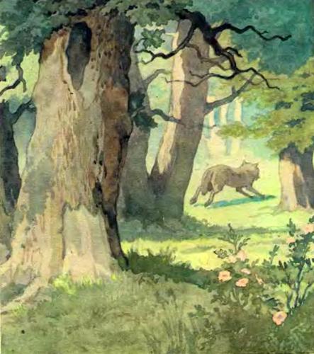 Иллюстрация к книге — Красная Шапочка [img07.jpg]