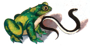 Иллюстрация к книге — Подарки феи [i_006.png]