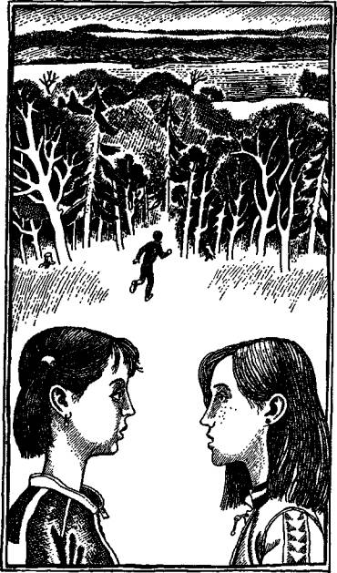 Иллюстрация к книге — Карусели над городом [i_008.jpg]