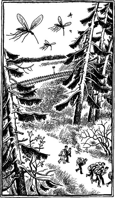 Иллюстрация к книге — А,Б,В,Г,Д… И другие [i_005.jpg]