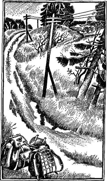 Иллюстрация к книге — А,Б,В,Г,Д… И другие [i_010.jpg]