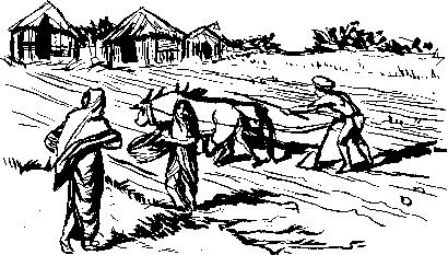 Иллюстрация к книге — Тайны исчезнувших цивилизаций [_39.jpg]