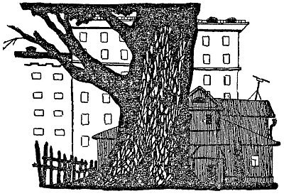 Иллюстрация к книге — Друзья и враги Анатолия Русакова [pic02.jpg]