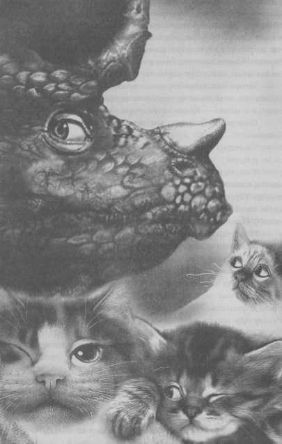 Иллюстрация к книге — Всё о непослушных принцессах и коварных драконах [img1_12.jpg]