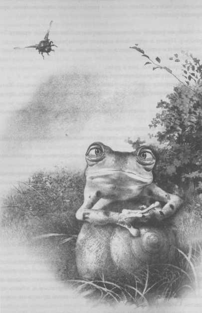 Иллюстрация к книге — Всё о непослушных принцессах и коварных драконах [img1_2.jpg]