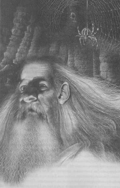 Иллюстрация к книге — Всё о непослушных принцессах и коварных драконах [img1_9.jpg]