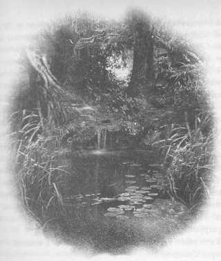 Иллюстрация к книге — Всё о непослушных принцессах и коварных драконах [img2_13.jpg]